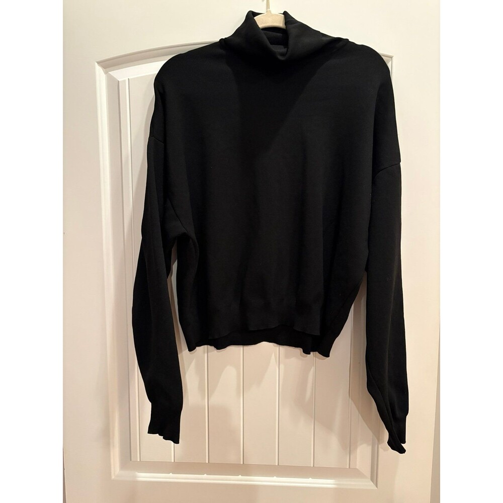 Like new Zara Turtleneck